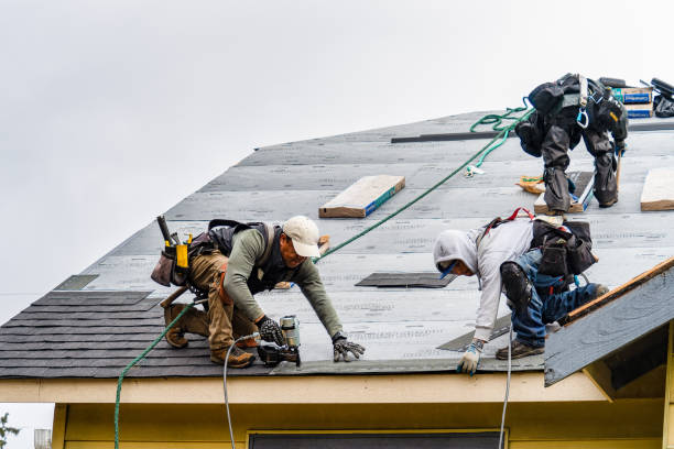 Professional Gutter Installation technician working in Quinlan, TX